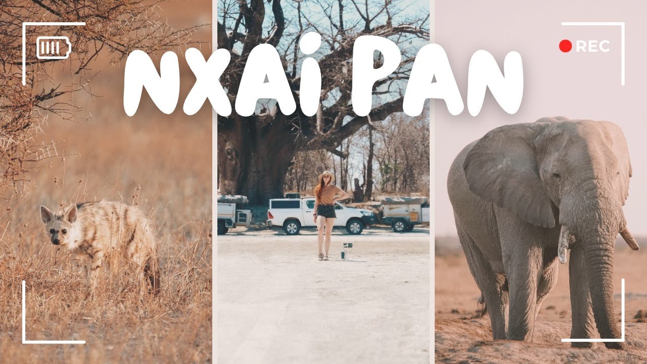 From Endless Pans to Ancient Giants | Botswana Ep 8