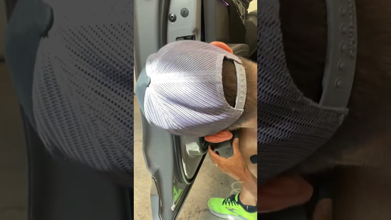 Tint prep door panel sweep removal  on 2023 Audi Q4 E Tron sport back