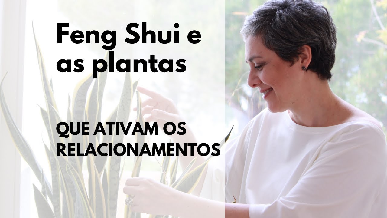 🌱QUE PLANTAS PODEM HARMONIZAR OS RELACIONAMENTOS?