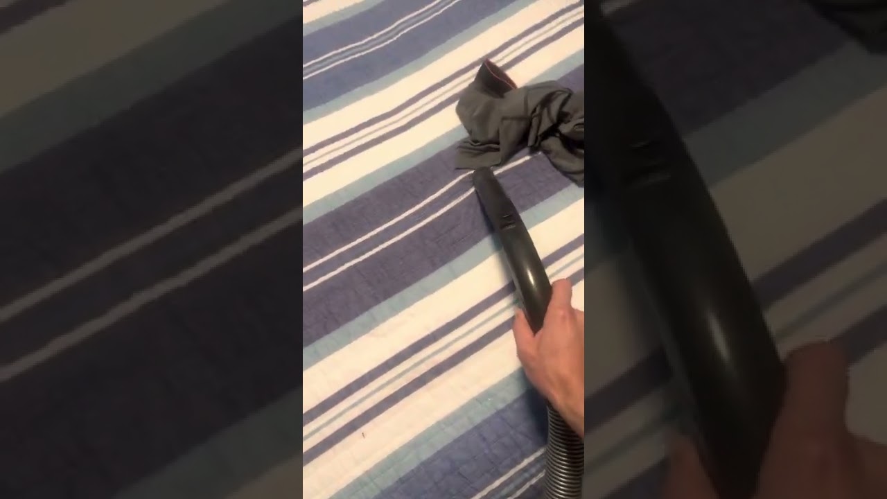 Miele Vacuums up Socks
