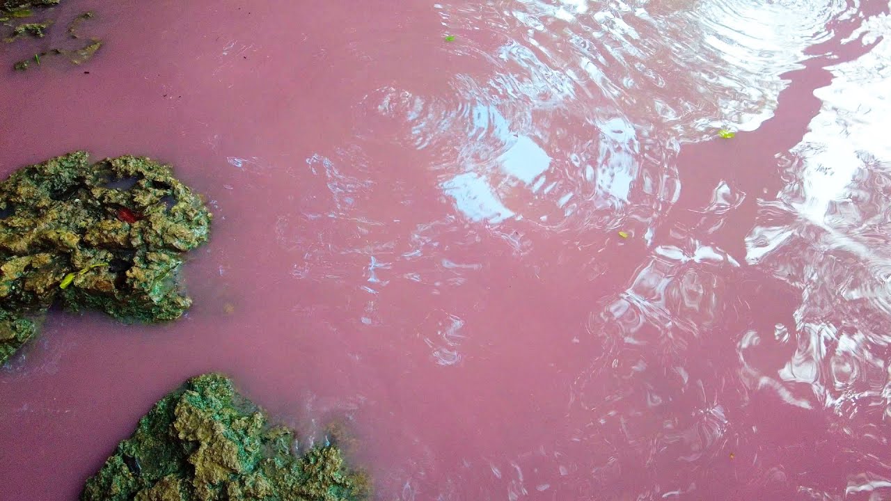 Isinuka Mud Caves and Sulphur Pools  ( Pink Water ) in Port St johns, Eastern Cape, South Africa