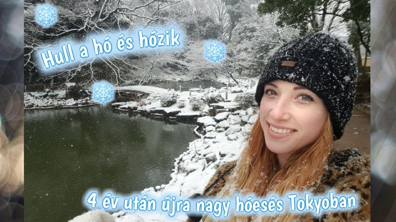 4 év után újra hull a hó és hózik Tokyoban ❄