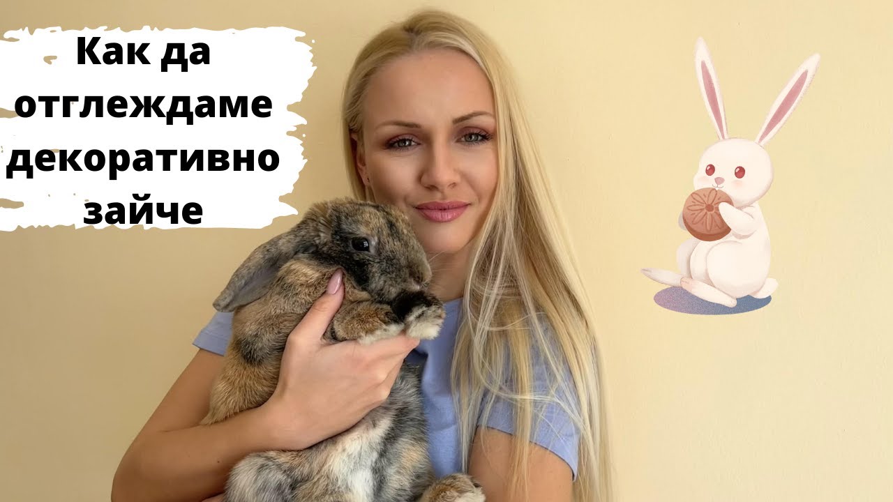 Запознайте се с Готи 🐰 - декоративен заек