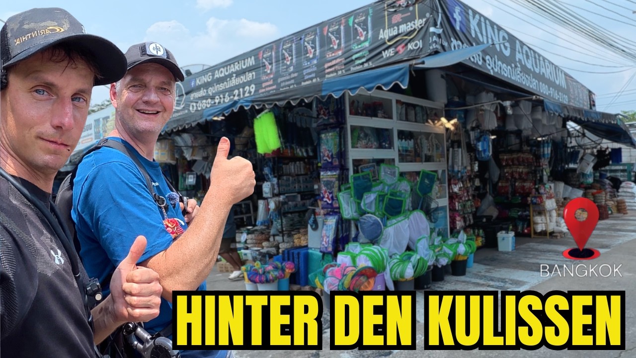 Was wirklich im Aquaristik-Markt Bangkok passiert - Behind the Szenes