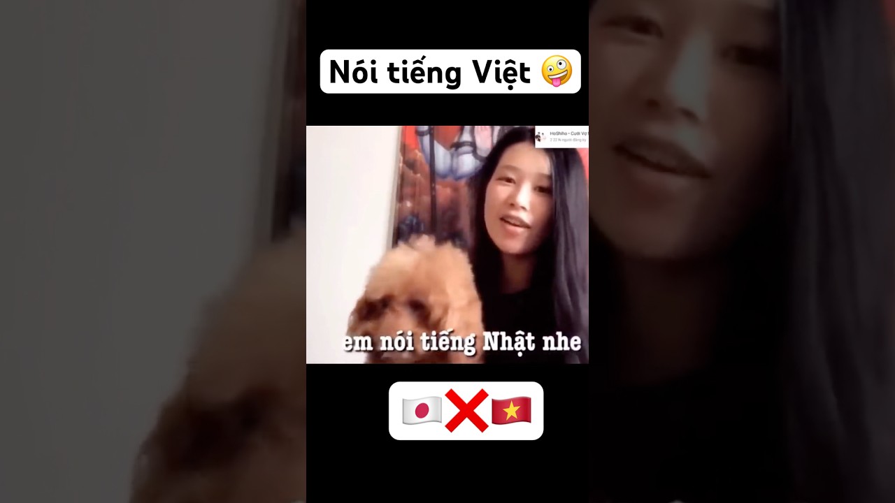 🇯🇵 N&oacute;i tiếng Việt #hoshiho #vonhat #bangainhat #vietnhat #bạng&aacute;inhật #ベトナム移住 #日越夫婦 #日越カップル