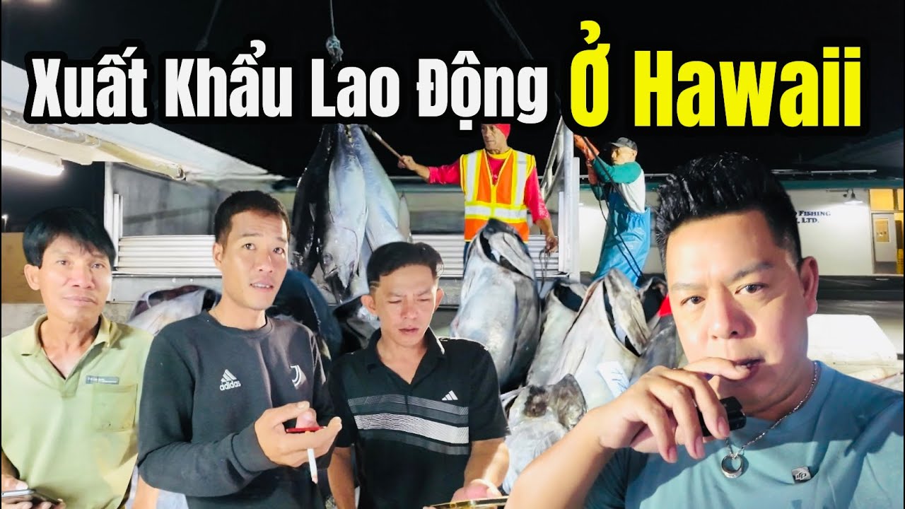 Cuộc Sống Hawaii - Người Việt Xuất Khẩu Lao Động Ở Hawaii - Nỗi Khổ Nghề Đánh Bắt Cá Ngừ