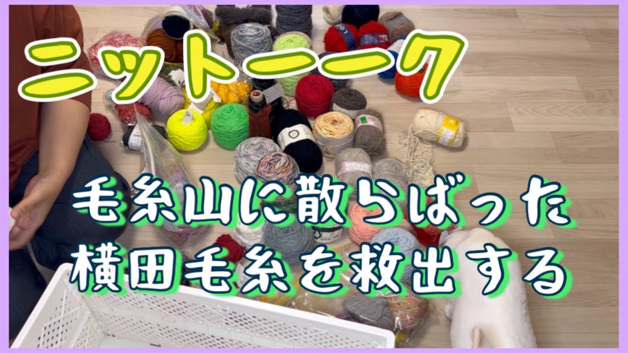 毛糸を整理するどー！横田さんを救出するどー！