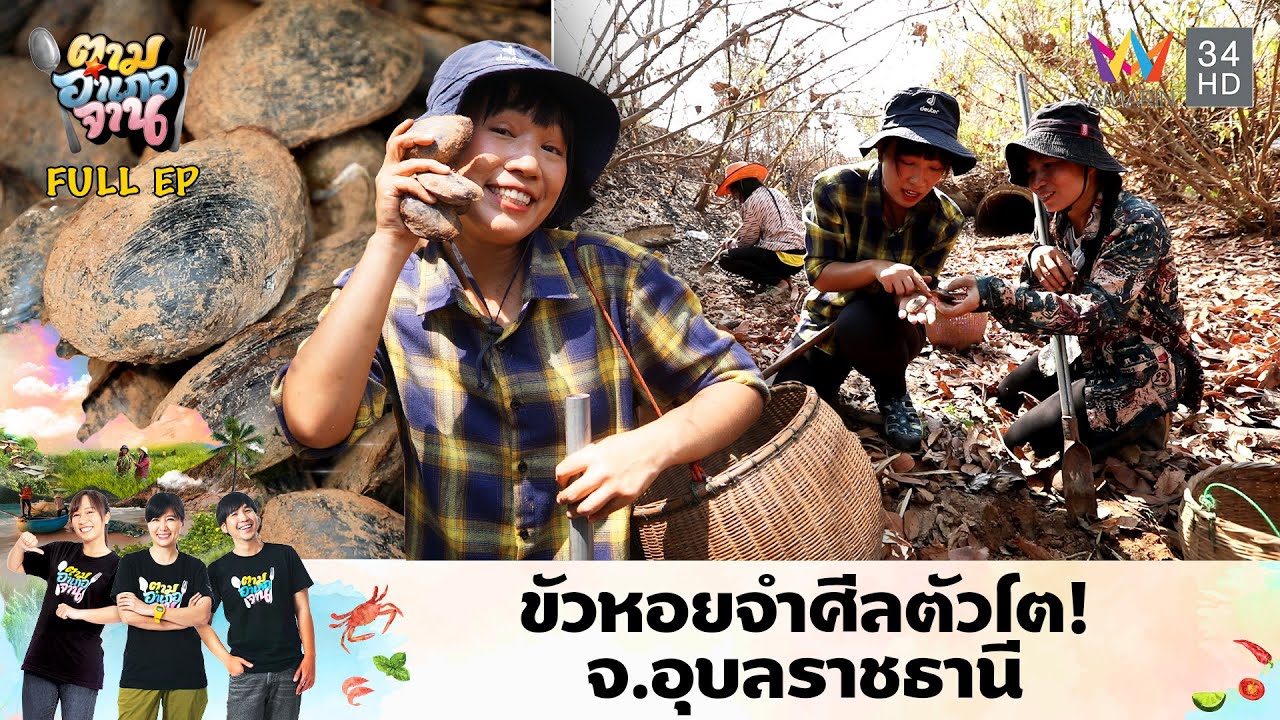 ขัวหอยจำศีลตัวโต! ช่วงหน้าแล้ง อ.พิบูลมังสาหาร จ.อุบลราชธานี  | ตามอำเภอจาน | 9 เม.ย.67 Full EP