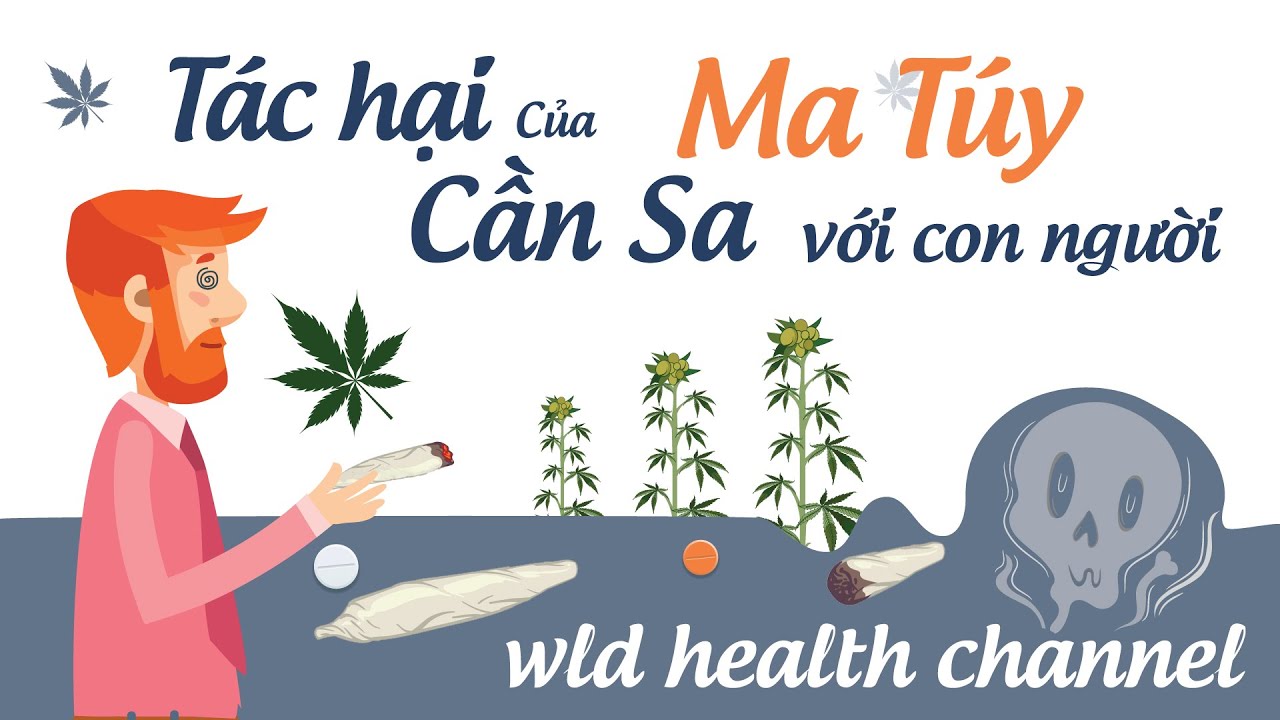 Tác hại của ma túy | Cần sa