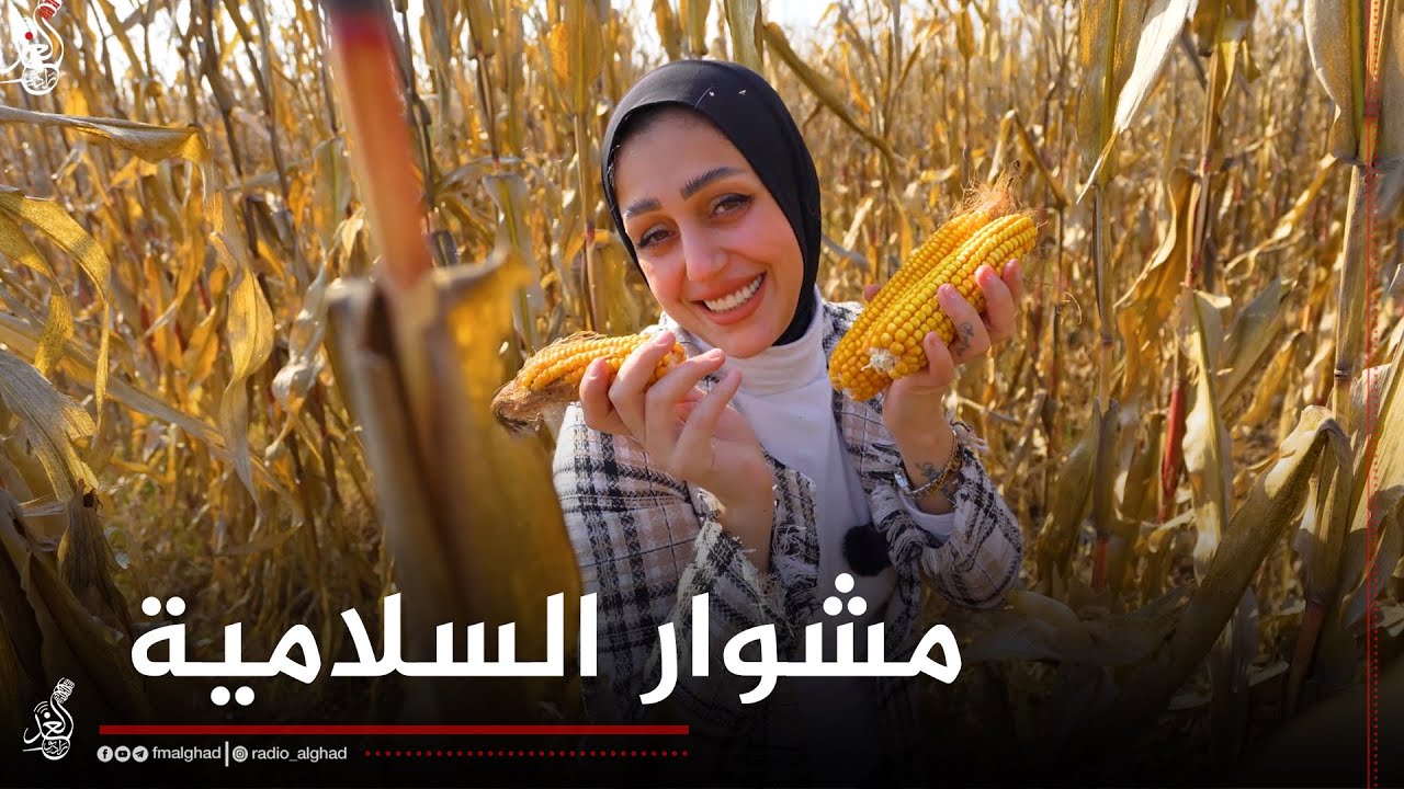 قرية ماضيها وحاضرها جميل , خلي ناخذكم بمشوار لقرية السلامية ونتعرف على عادات اهلها الطيبين😍❤