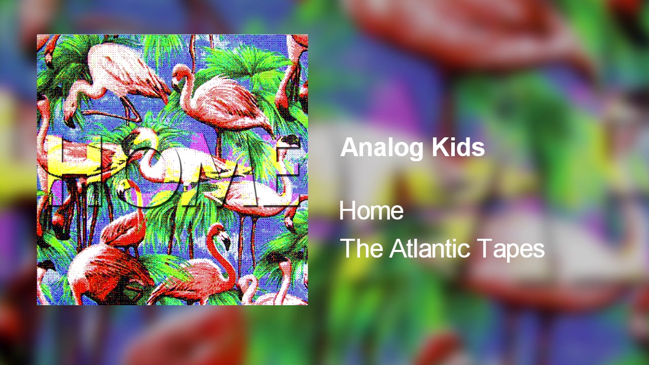 Home - Analog Kids