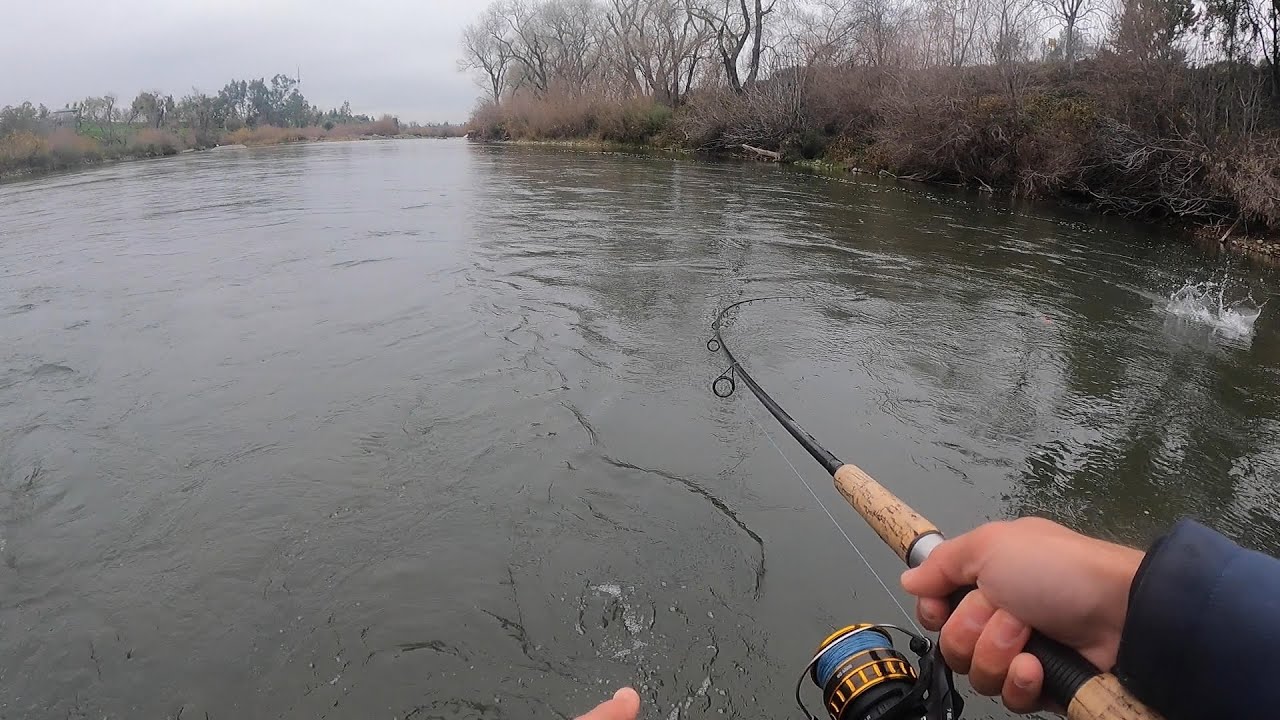 EPIC California Steelhead Fishing (Bobber Fishing)