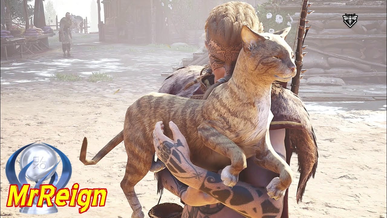 Assassin's Creed Valhalla (Siege of Paris) - Pat the Cats Trophy  Achievement Guide (Cat Locations)