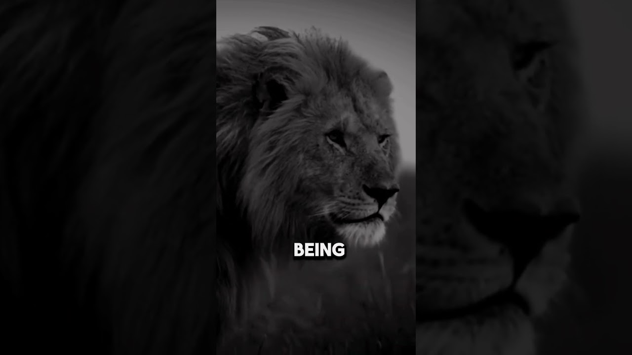 Epic motivation #motivation #quotes #mindset #epic
