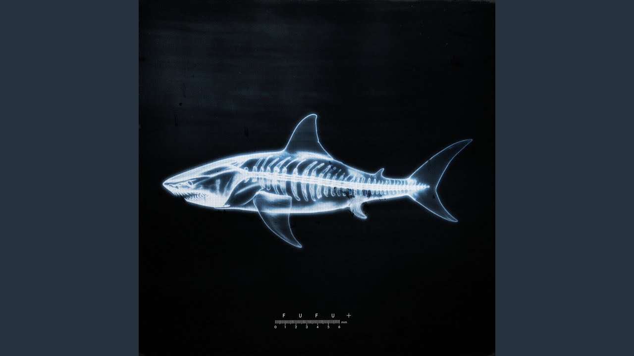 Activos