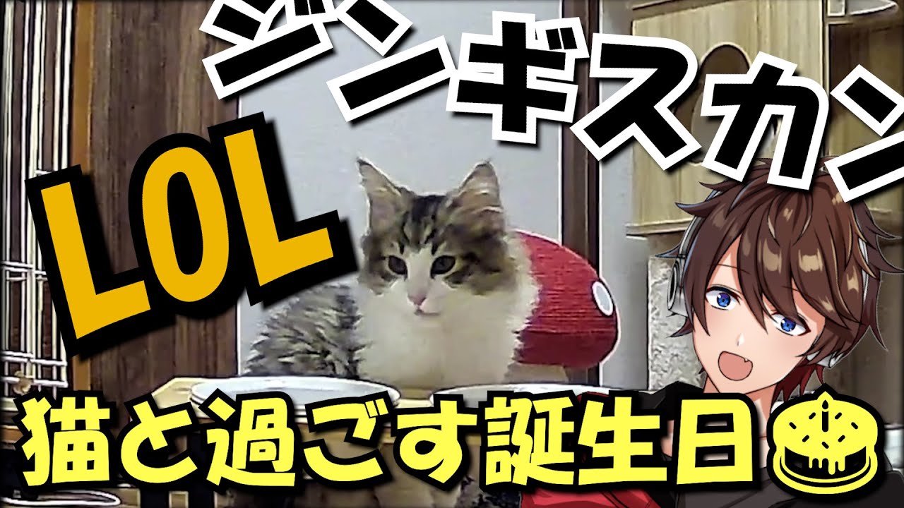 【誕生日配信】猫を眺めながらlolをして肉を焼いた