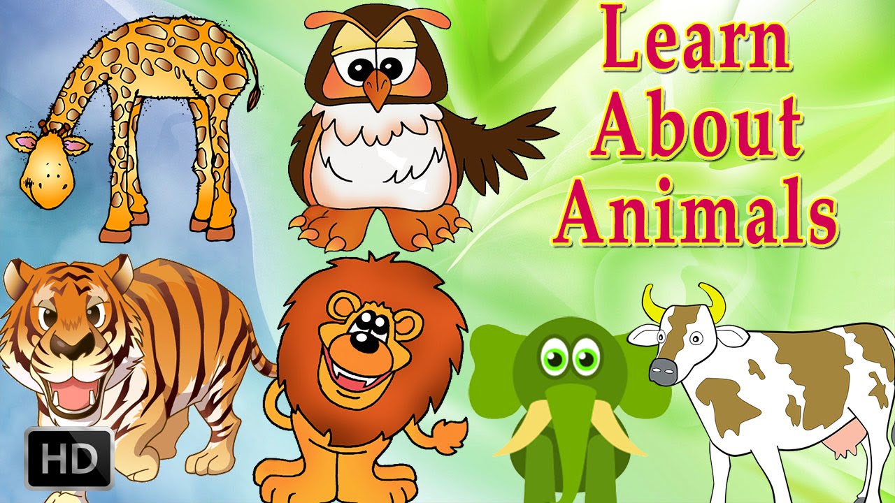Learn About Animals - Animal Sounds - Learning Animals For Toddlers - Zoo Animals