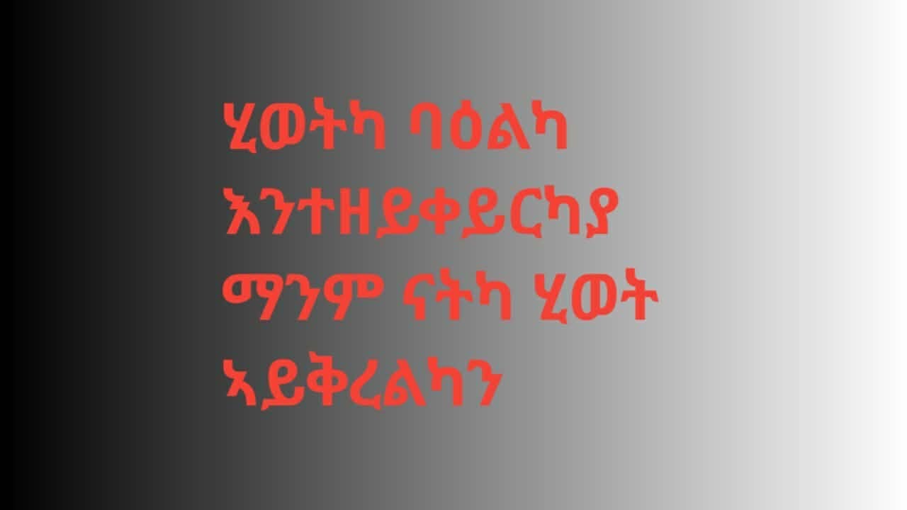 TiTi channel (ቲቲ ቻነል) is live
