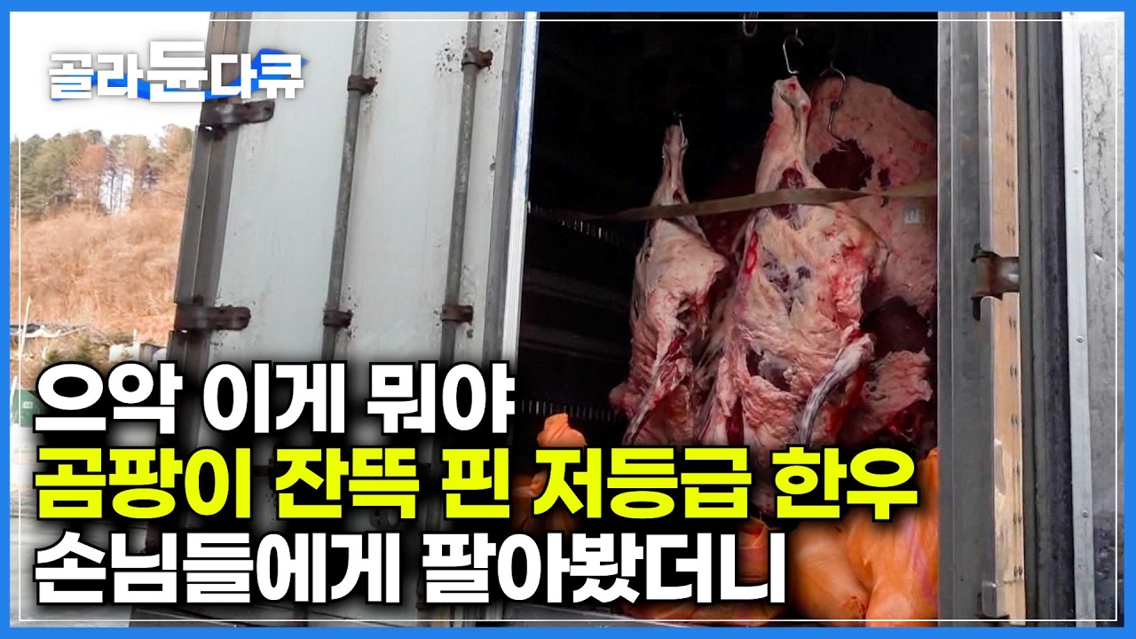 먹어본 사람만 이 맛을 안다. 곰팡이 잔뜩 핀 저등급 한우가 요즘 인기 있는 이유｜저등급 판정받은 다산 암소를 제값에 매입해 곰팡이로 숙성시키는 건식 숙성법｜극한직업｜#골라듄다큐