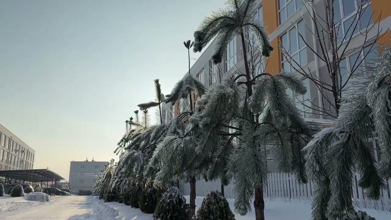 Наша зима!
