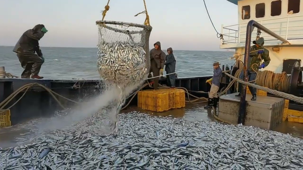 出海捕魚，遭遇本航次最強挑戰！在風浪中狂飆8小時！