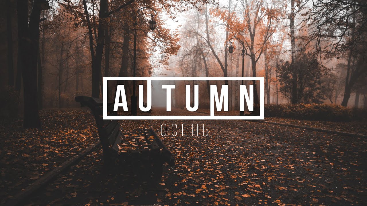 Autumn vibes: FL Studio Chill Out(Demo)#FLStudio #ChillBeats #AutumnVibes #MusicProduction