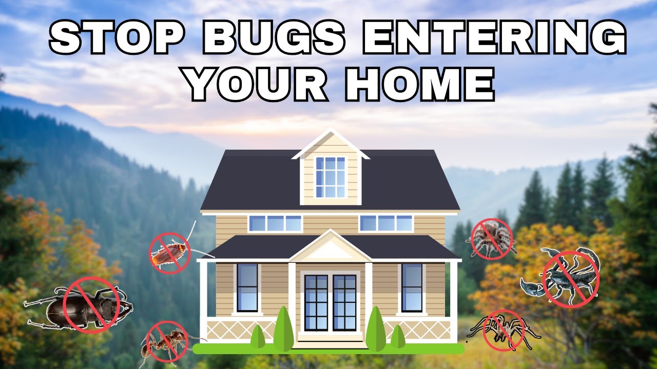 Keep Bugs Out: Best Home Defense Spray