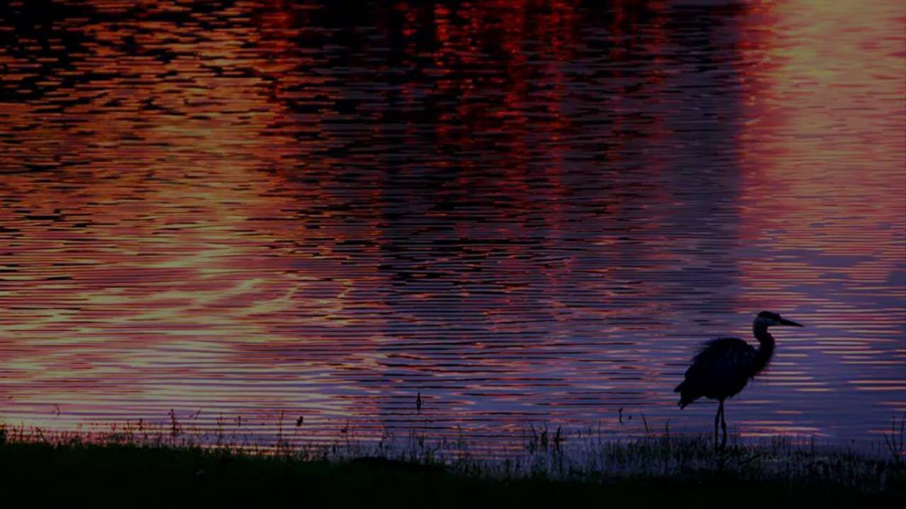 César Cui - Violin Sonata D Dur, Op 86
