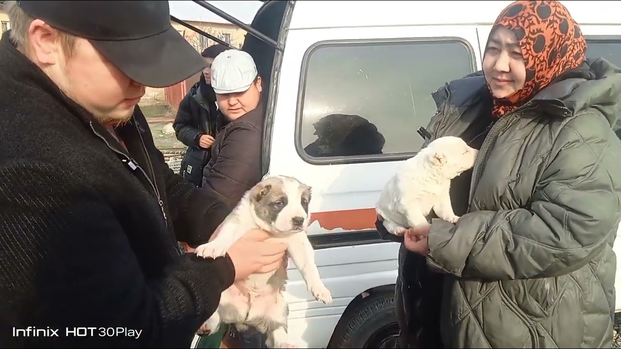 Fargʻona Besh bolla it bozori 15.02.2026