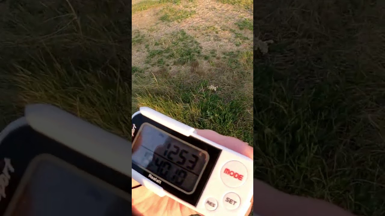 COUNTING MY DAILY STEPS WITH A PEDOMETER! 