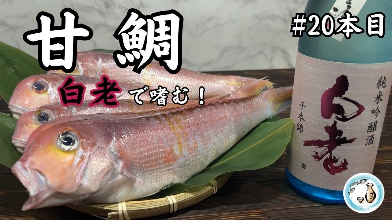 甘鯛を始めて食す！刺身３種と松笠揚げで「白老」を楽しむ！【御酒印帳20本目】
