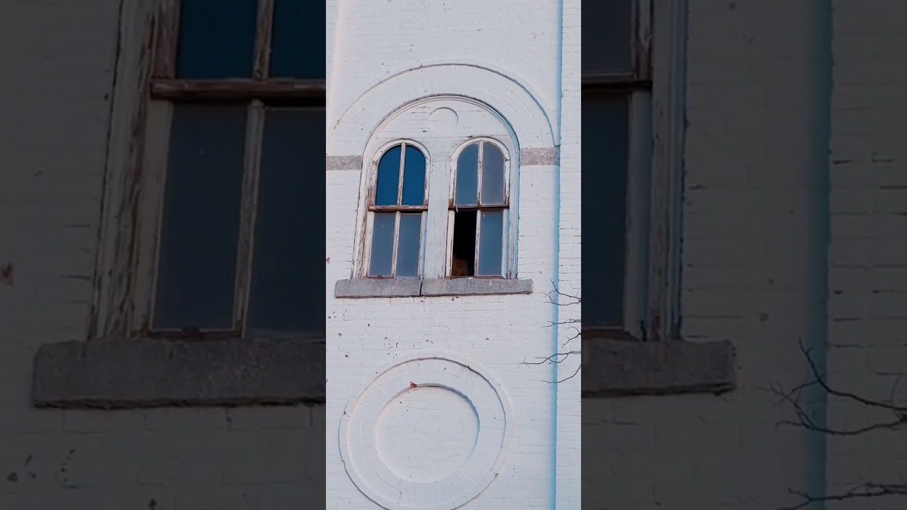 Increíble!! Tiene cuernos ! Es un demonio!! Aterrador!
