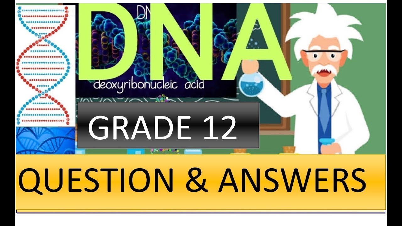 DNA  CODE OF LIFE (REVISION, QUESTION, AND ANSWERS) GARDE 12 LIFE SCIENCES [M.SAIDI, THUNDEREDUC]
