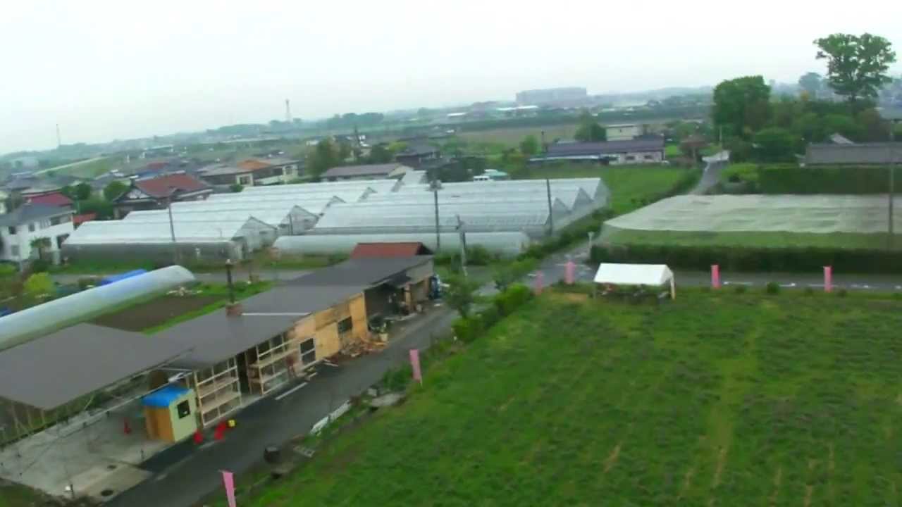 ラジコンヘリ空撮映像 久喜市所久喜れんげ祭り
