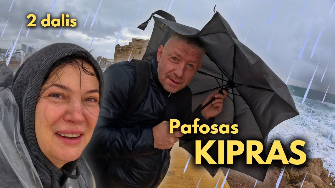 Kipras žiemą