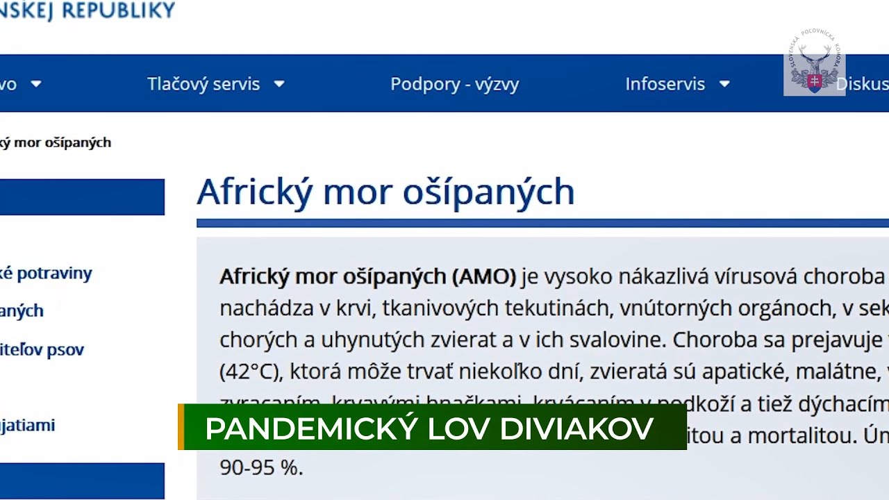 Poľovnícky infoservis: PANDEMICKÝ LOV DIVIAKOV