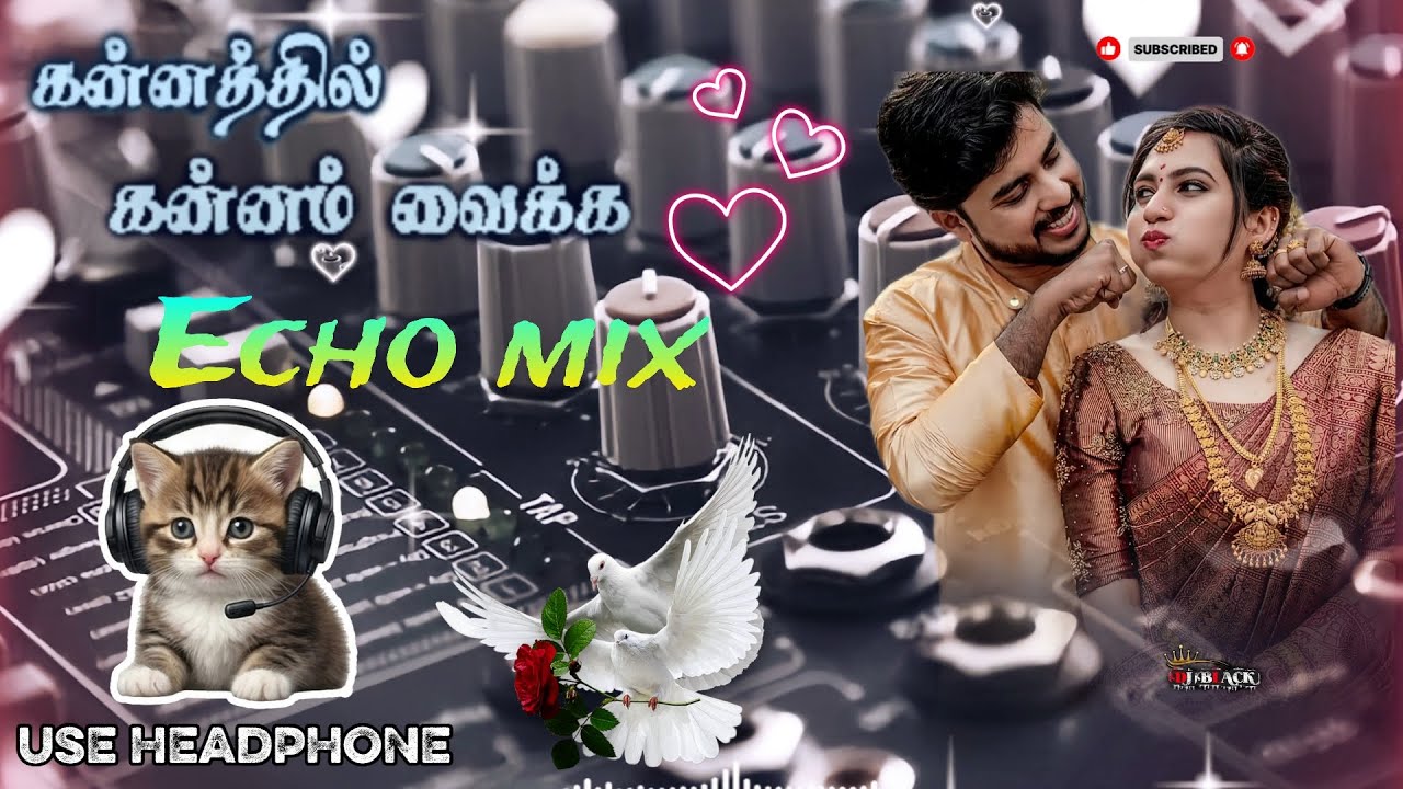 கன்னத்தில் கன்னம் வைக்க Kannaththil kannam vaikka 💫💖✨#echomixer 🎶#echomixerbeats 🎛️ #melodyhits🎧#dj0