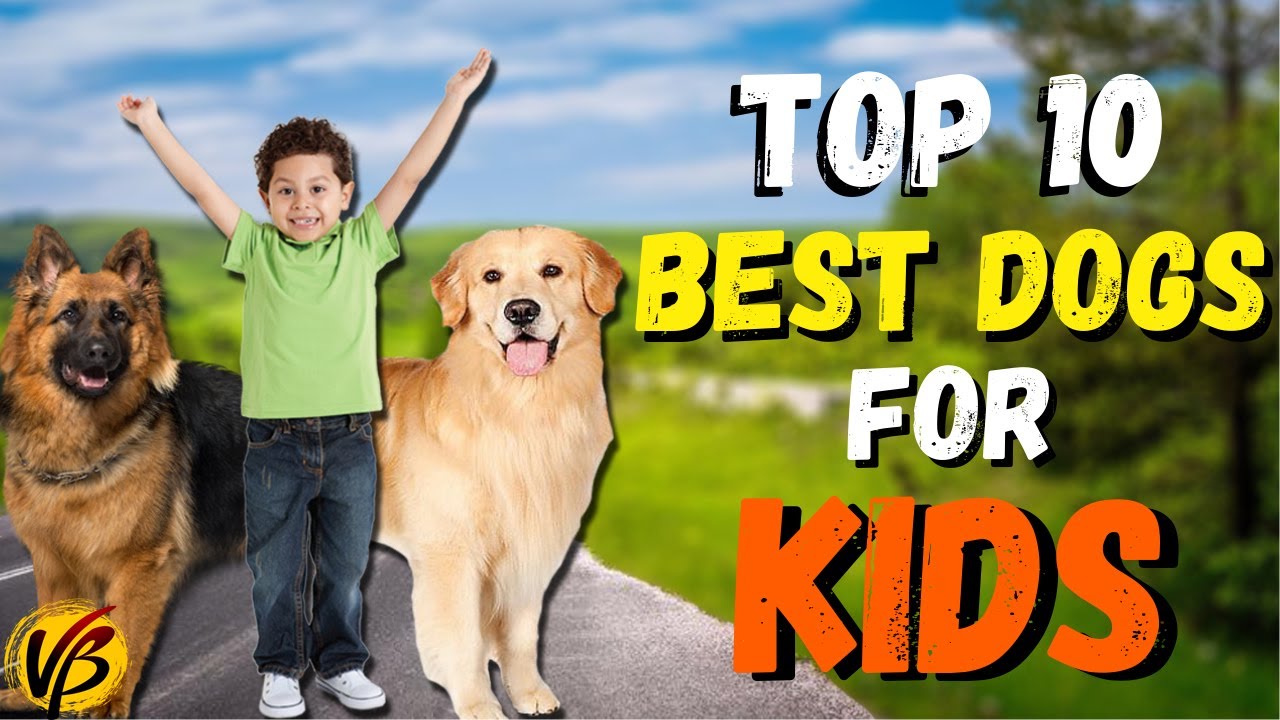 Top 10 Best Dogs for Kids | Best Dog Breeds For Kids in Hindi | Kids Friendly Dogs