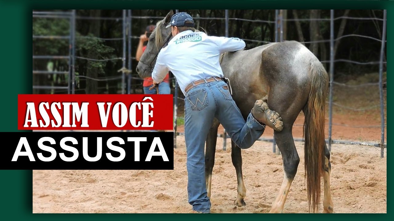 ASSIM VOCÊ ASSUSTA | LEONARDO FEITOSA