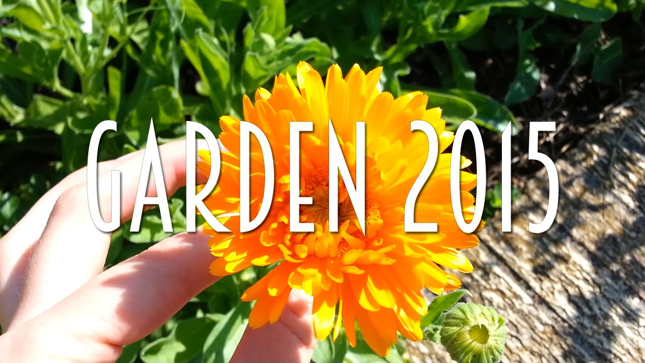 Garden Tour 2015 | 100th Video!