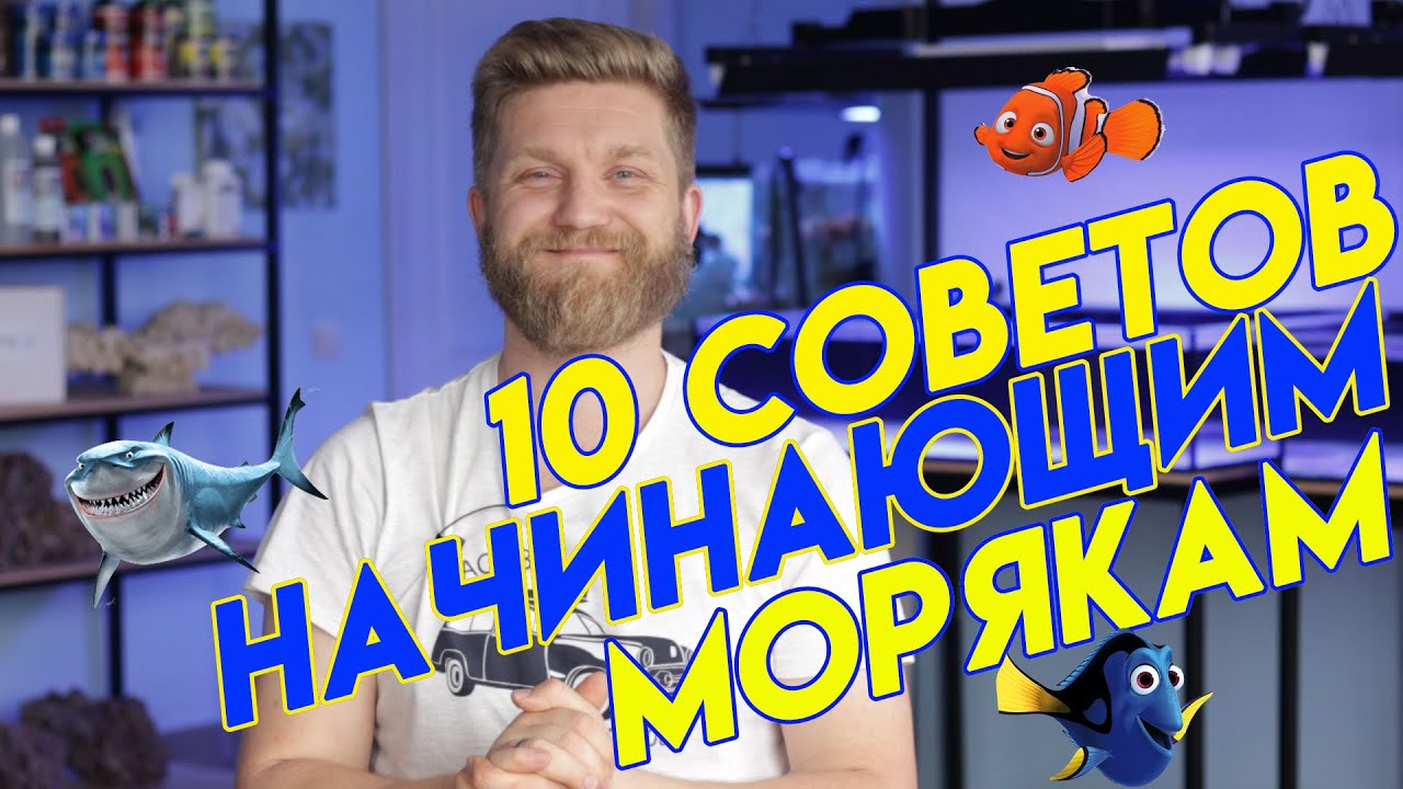 10 советов начинающим морякам.