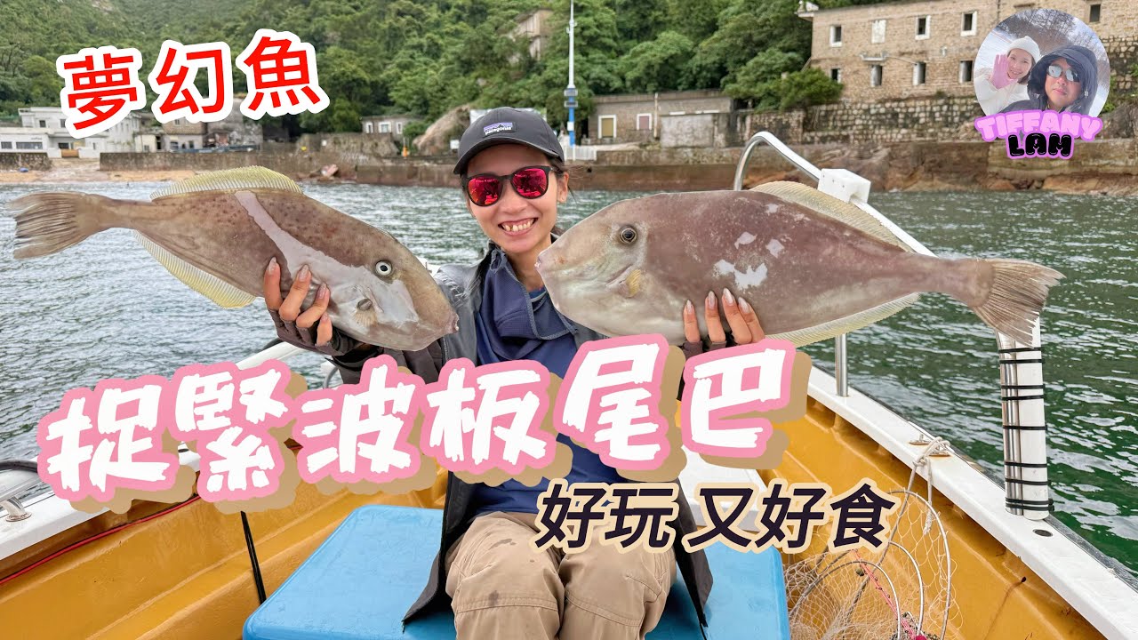 捉緊波板尾巴#夢幻魚種#boatgame #船釣#好玩又好食
