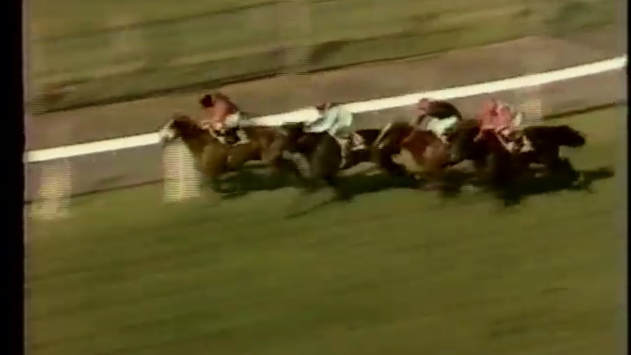 Fingals Cave Beats Sea Pigeon 1980 Cumberland Lodge Stakes at Ascot for Pat Eddery and John Dunlop.