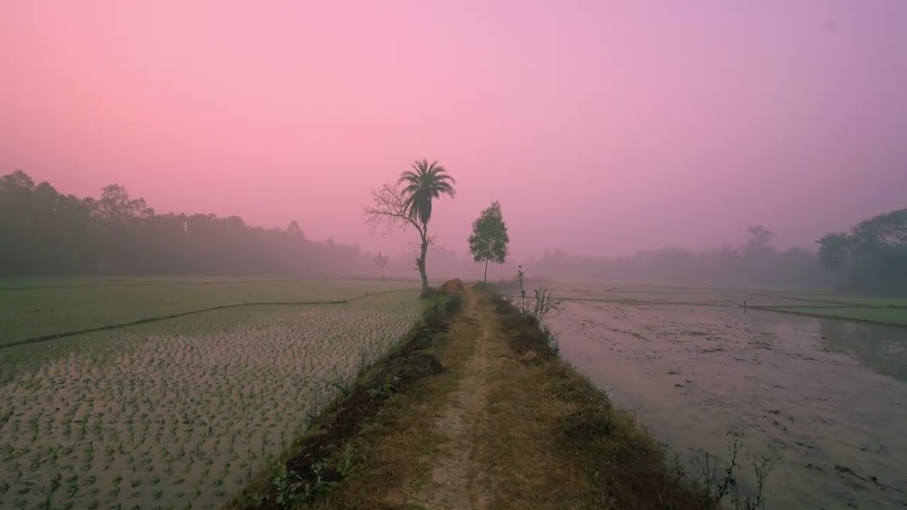 Charming Winter Morning in My Village | Indian Village Life