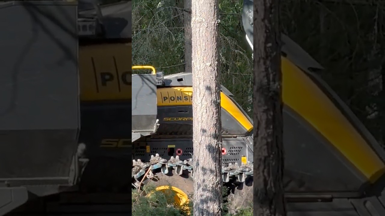 Lean woodcutting machine #ponsse #scorpio