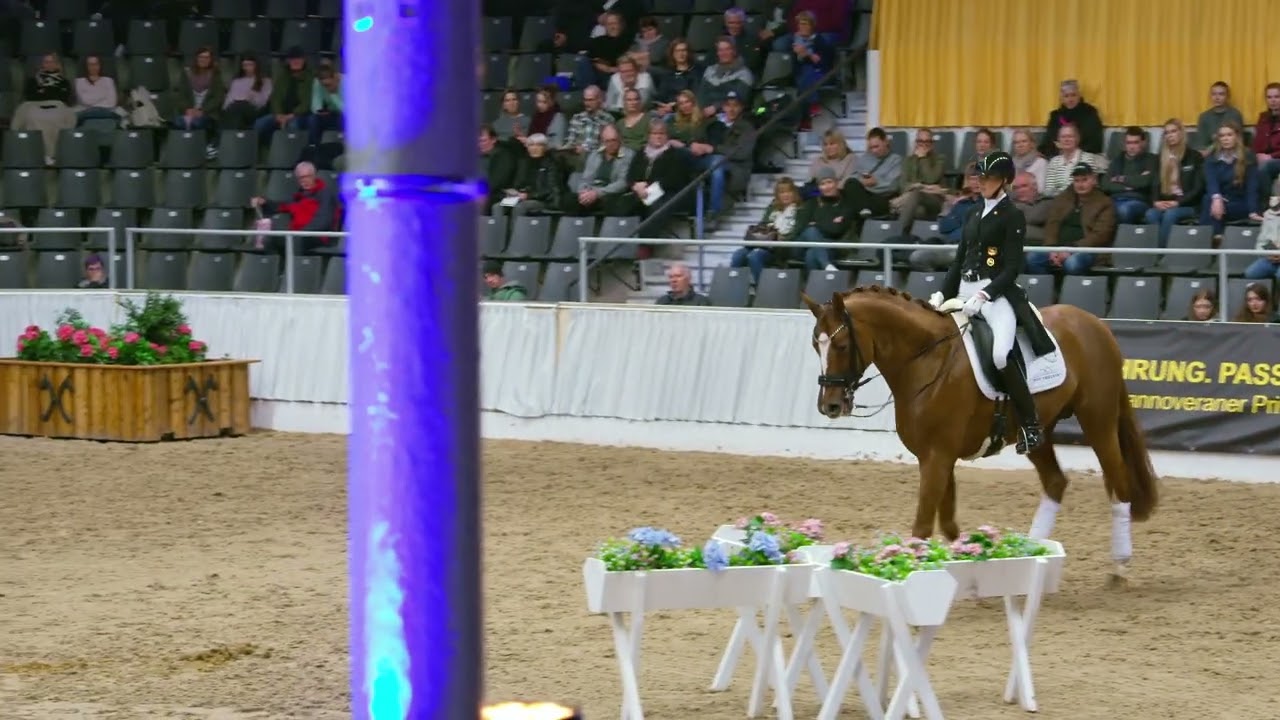 Beck's FRH bei der 33. PB-Schau am 1. Februar 2025