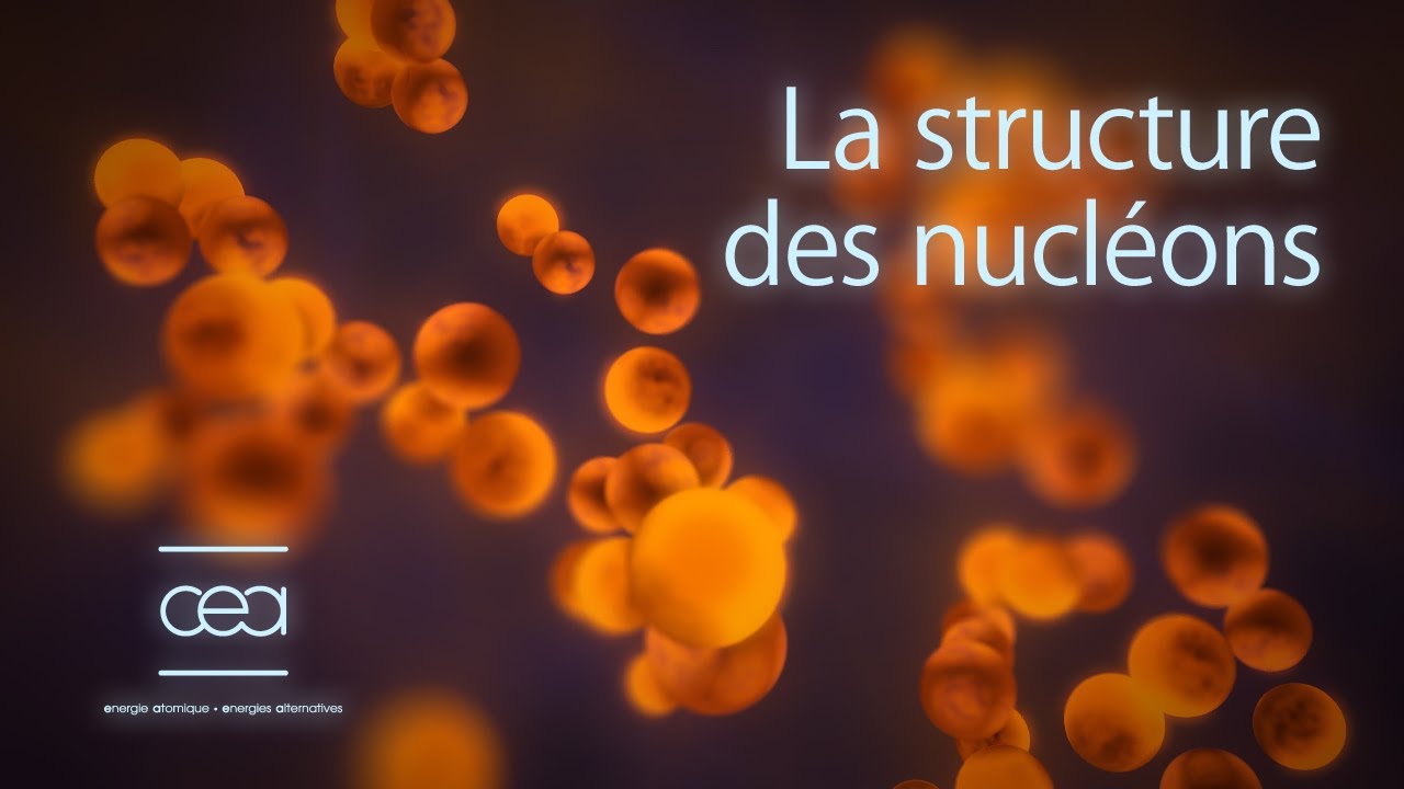 La structure des nucl&eacute;ons