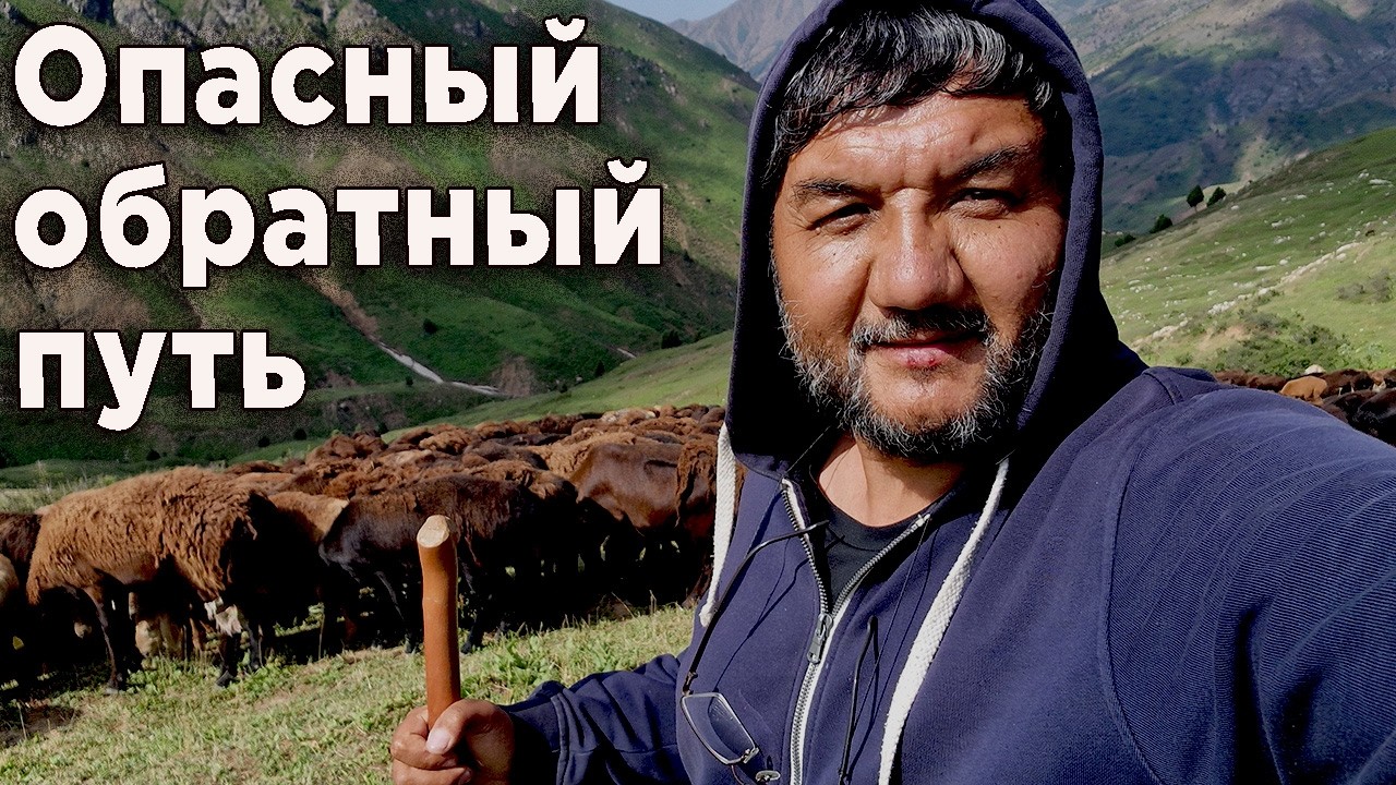 Опасный спуск в долине волкодавов. Экспедиция закончилась. Часть 1.