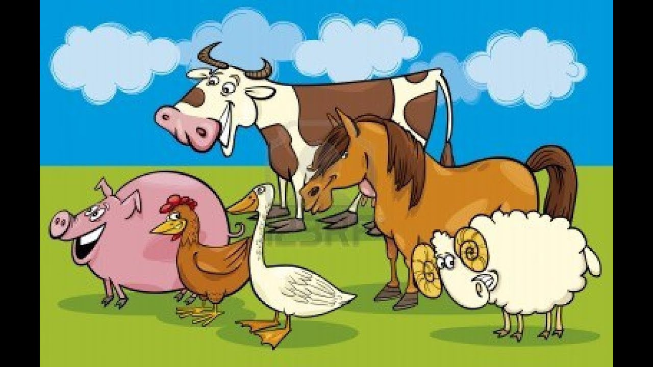 Les Animaux de la ferme en folie !