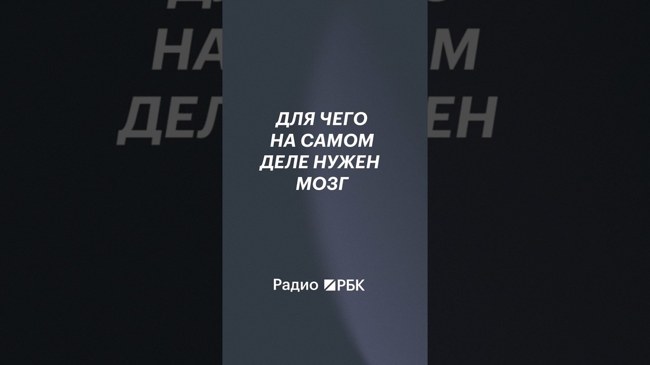 Мозг нужен не для открытий, а для адаптации